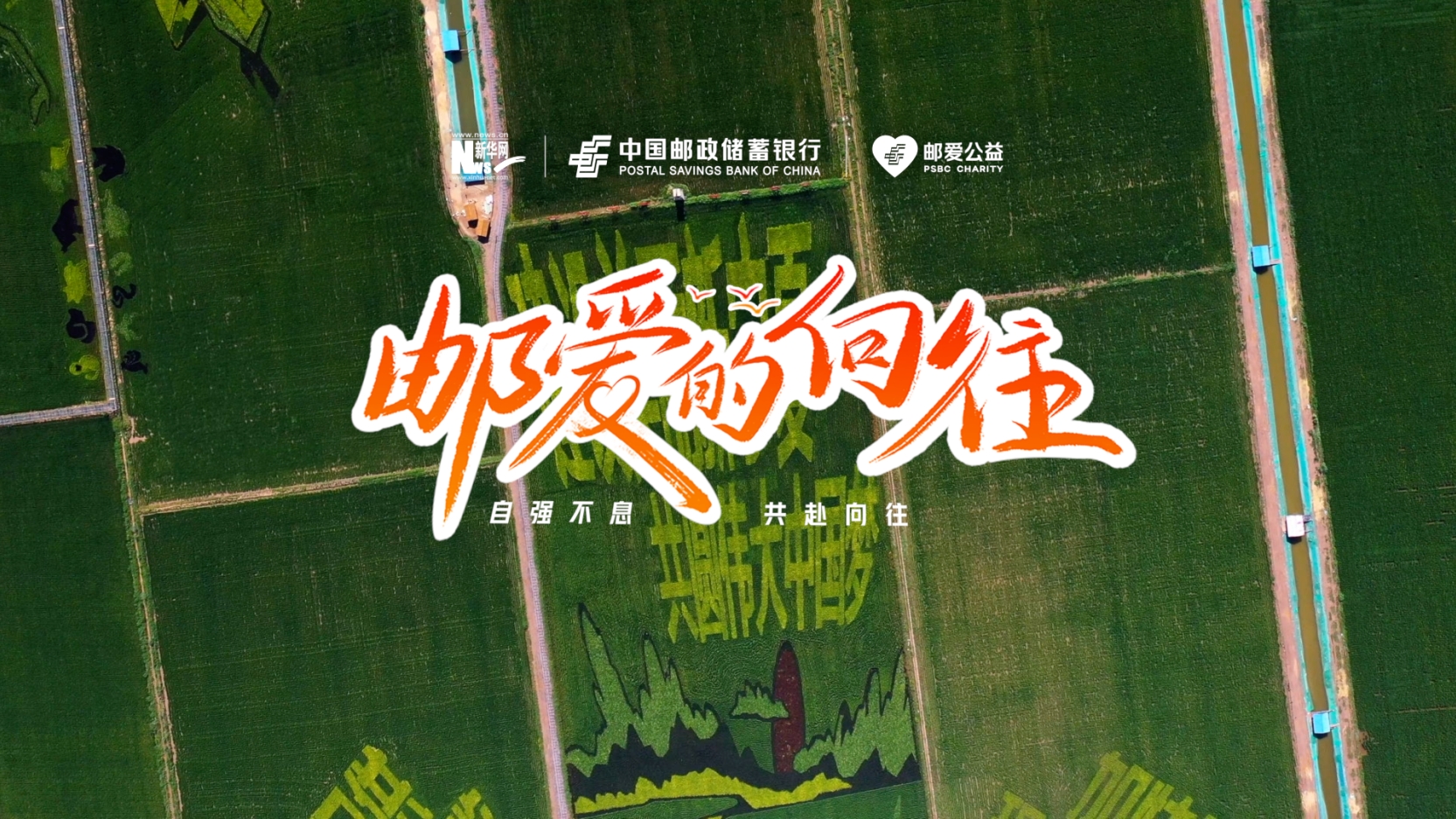 邮爱公益7周年主题视频——邮爱的向往